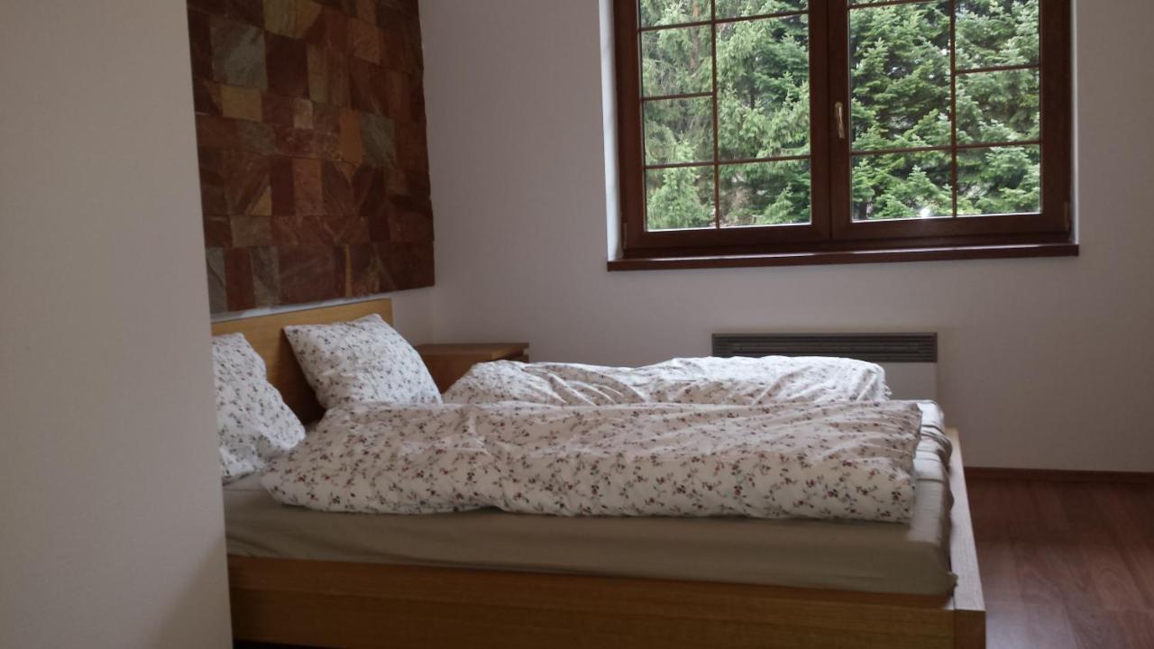 Apartmany 33 A 8 Ad Kamzik ドノヴァリ エクステリア 写真